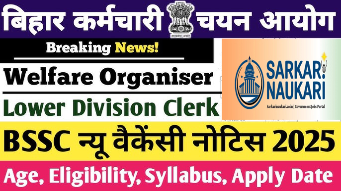 BSSC Welfare Organiser and Lower Division Clerk Online Form 2025